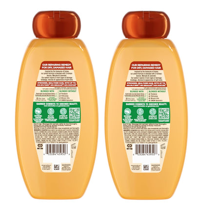 Garnier Whole Blends Honey Treasures Repairing Shampoo – Premium Honey-Infused Hair Repair, Elegant 2-Pack for the Refined Home
