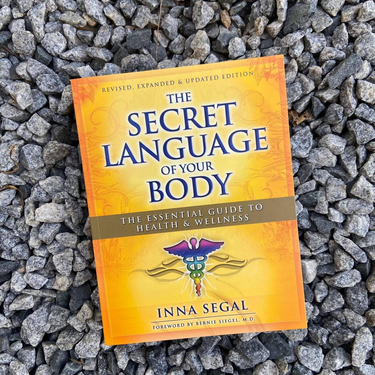 holistic and alternative health perspective