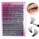 40D-Lashes