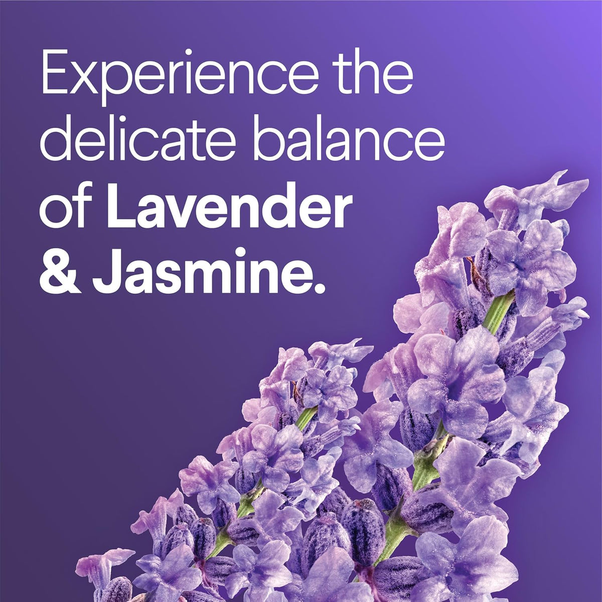 lavender and jasmine scentiva fragrance blend with rose and hyacinth notes