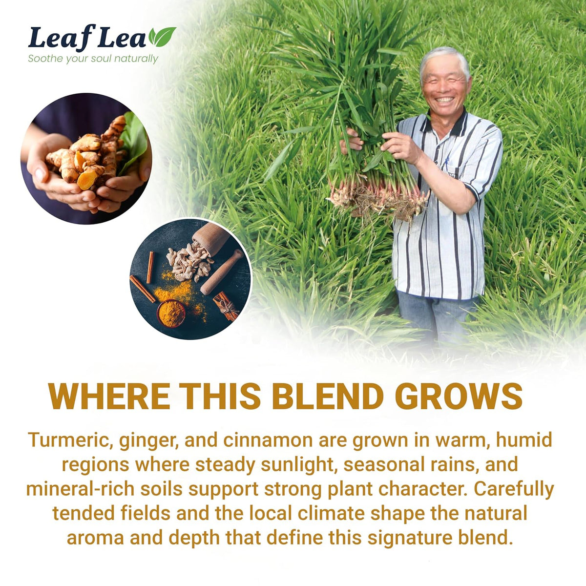LeafLea Turmeric Ginger Cinnamon Tea Bags – Clean-Label Pantry Staple for the Intentional Home, Sugar-Free