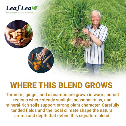 LeafLea Turmeric Ginger Cinnamon Tea Bags – Clean-Label Pantry Staple for the Intentional Home, Sugar-Free
