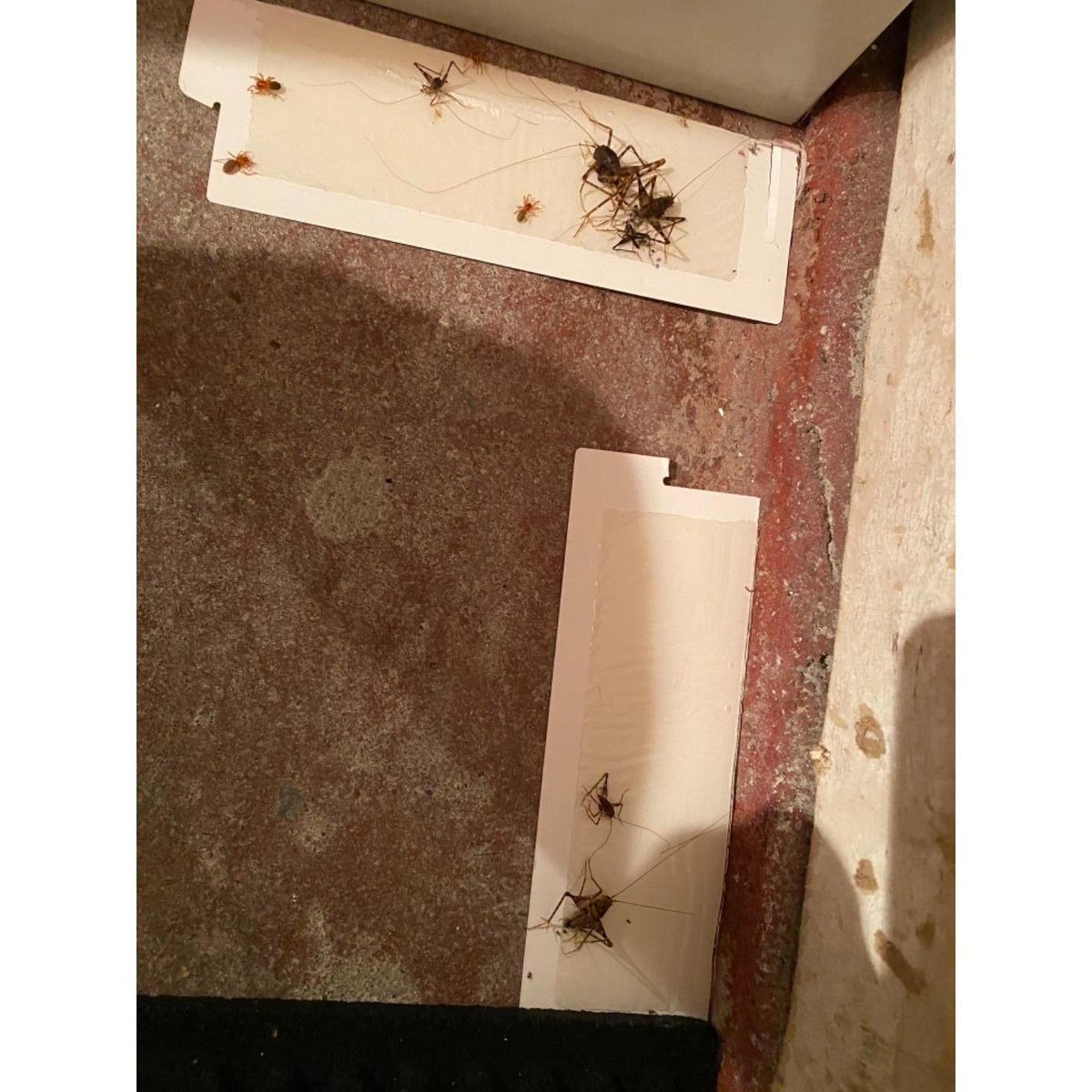 manual operation with no power source or chemicals
