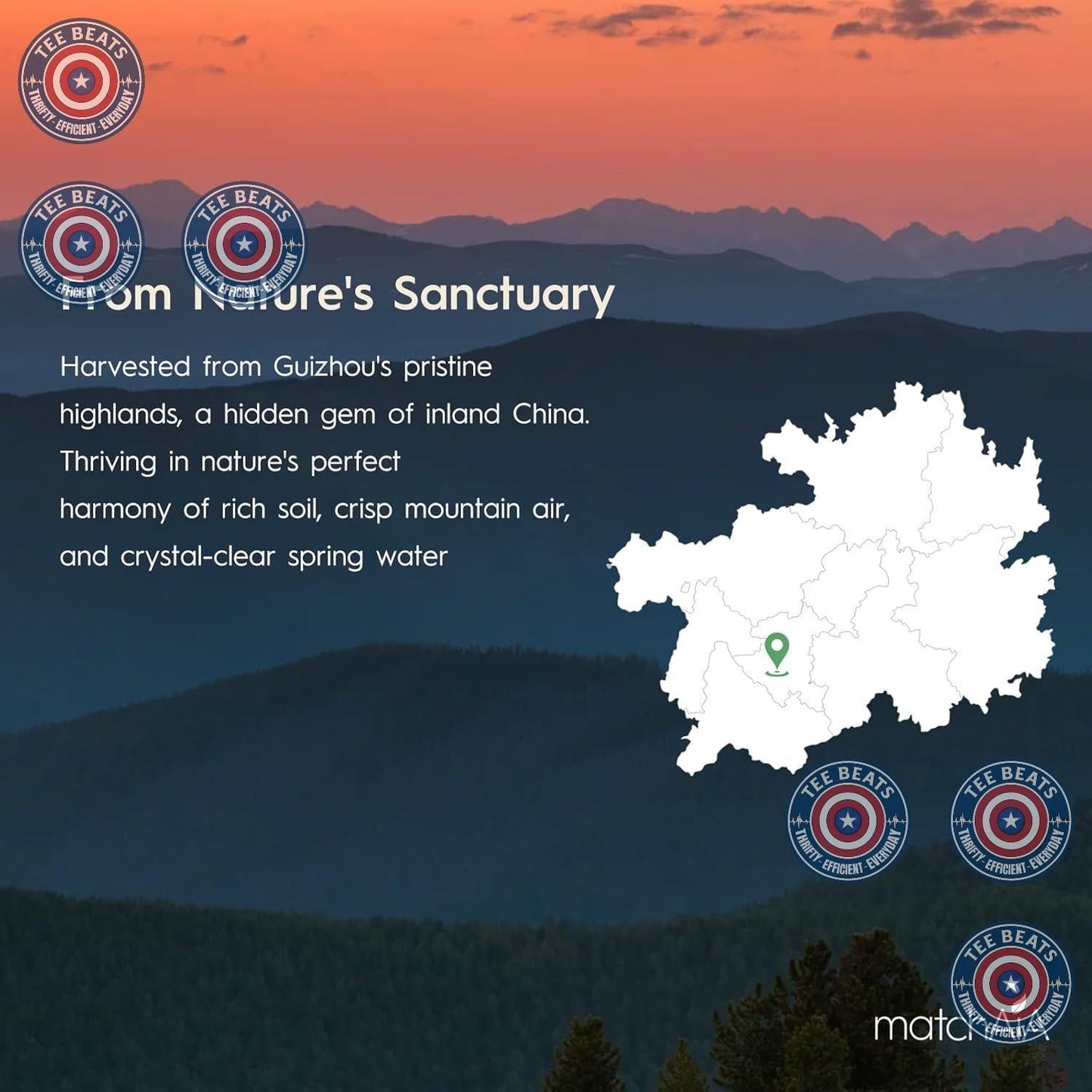 MatchAiA Ceremonial-Grade Matcha – Wind-Down Antioxidant Drink for Evening Self-Care Moments