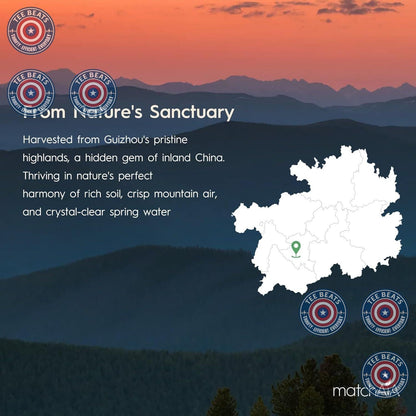 MatchAiA Ceremonial-Grade Matcha – Wind-Down Antioxidant Drink for Evening Self-Care Moments