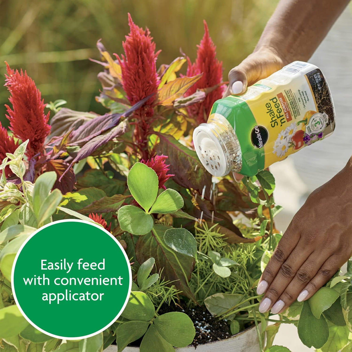 Miracle-Gro Shake 'N Feed All Purpose Plant Food for Living Room Houseplant Displays, Lush Aesthetic Nutrition