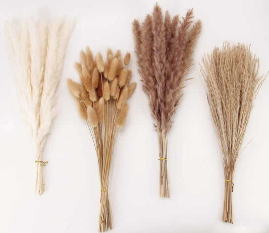 mixed bundle of 100 dried stems: 50 small pampas + 20 reed grass + 15 white pompas + 15 brown pompas