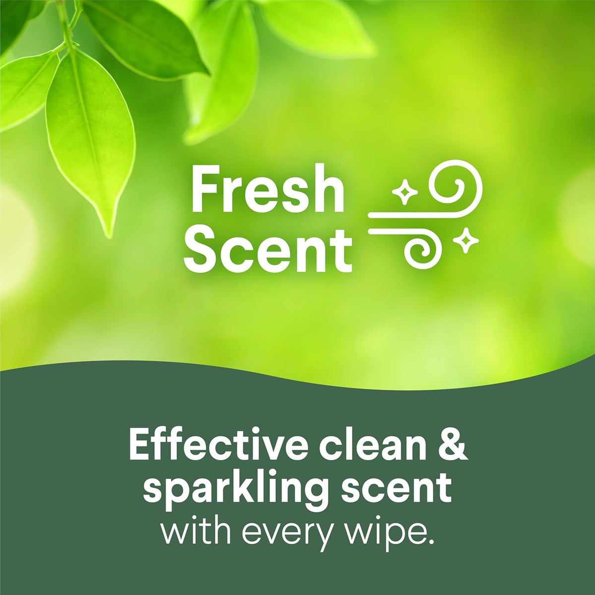 multi-surface compatibility across 100+ surfaces including finished wood, sealed granite, and stainless steel