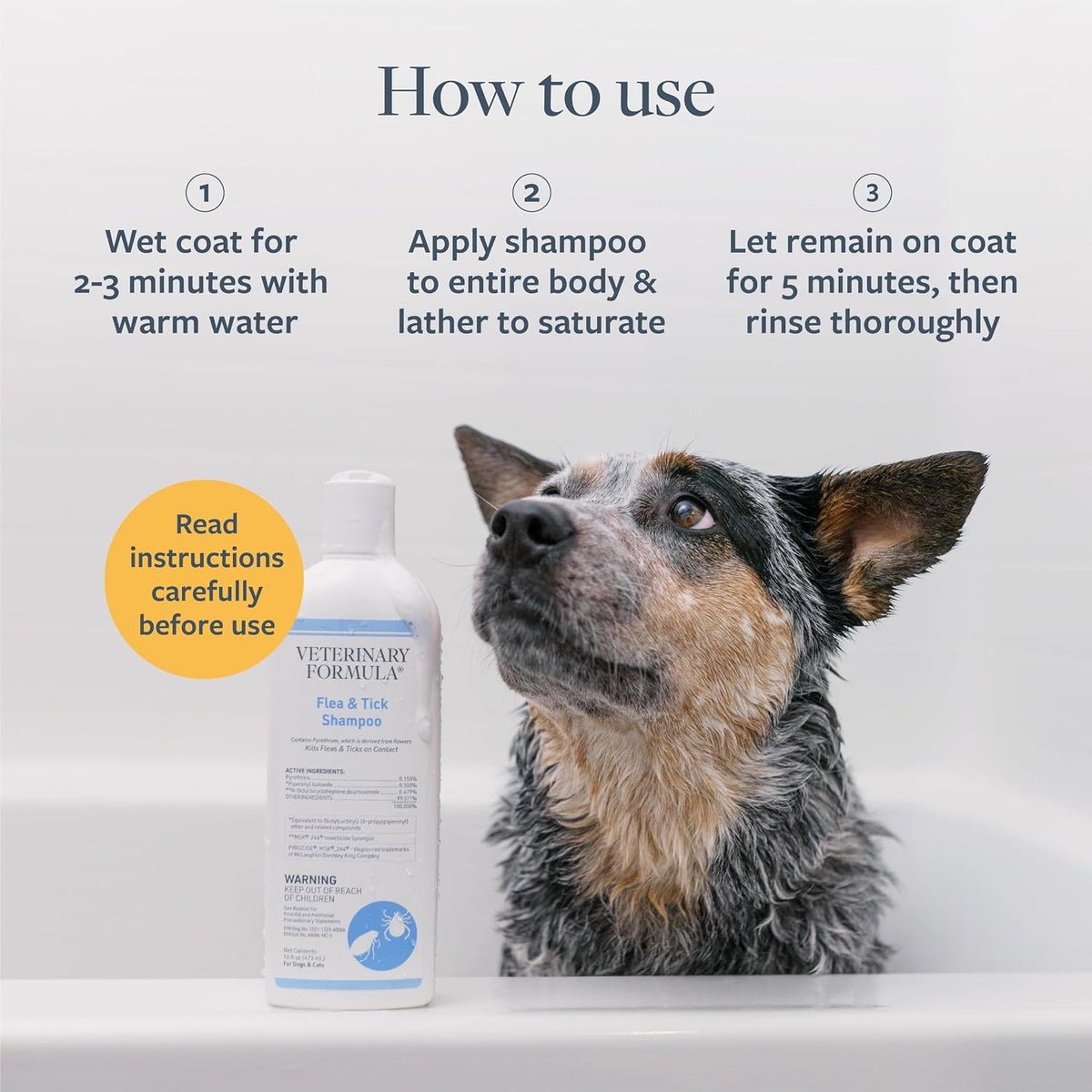 multiple format options across the line: 16 oz shampoo, spray, shampoo 2-pack, all-in-one bundle, and 6-pack bundle