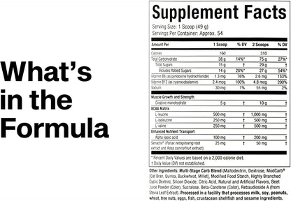 MuscleTech Cell-Tech Creatine Monohydrate Powder – Gluten-Free, HPLC-Tested Recovery Stack You Can Trust