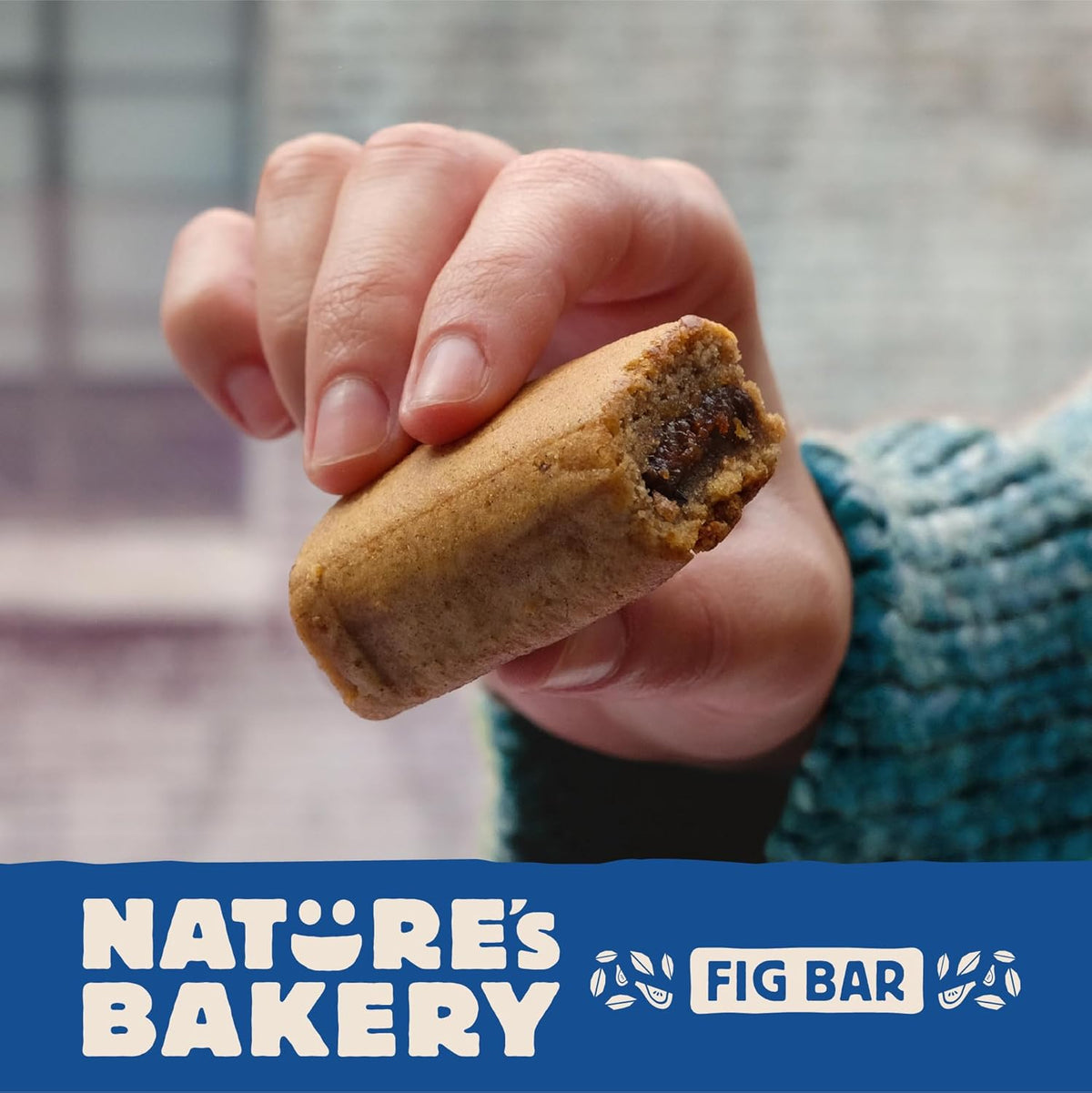 Nature's Bakery Real Fruit Fig Bars – Road Trip Snack for Allergy-Prone Families