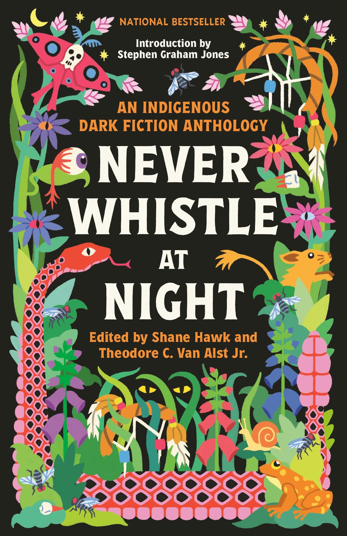 Never Whistle at Night: An Indigenous Dark Fiction Anthology — Thoughtful Holiday Gift for Readers Who Want Something Beyond the Bestseller List