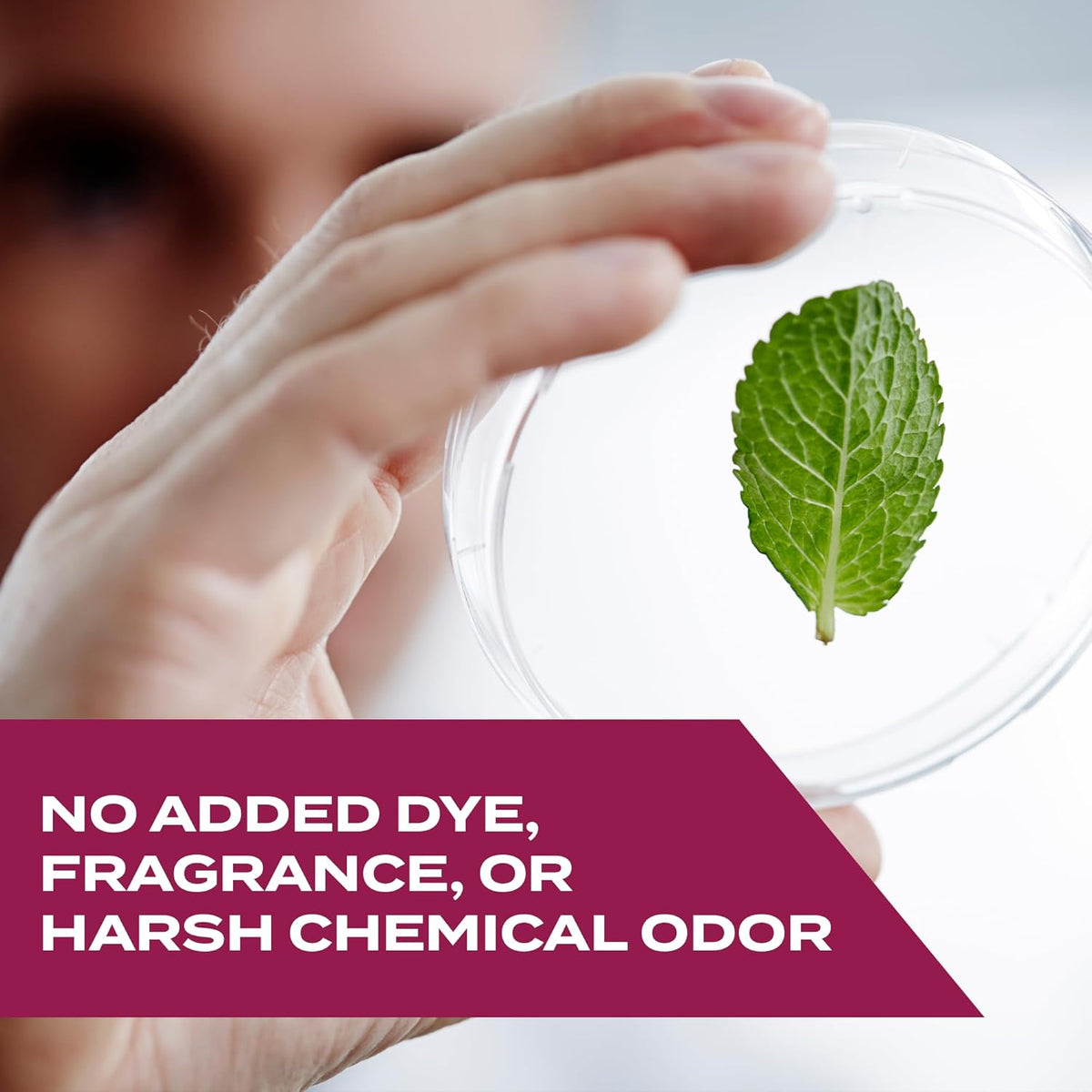 no added dye, synthetic fragrance, or harsh chemical odor, with a fresh scent