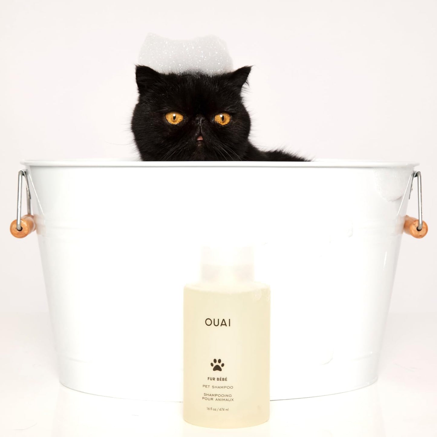 OUAI Fur Bébé Pet Shampoo - Thoughtful Birthday Gift for the Pet-Obsessed Friend, Mercer Street-Scented Spa Wash (16 Fl oz)