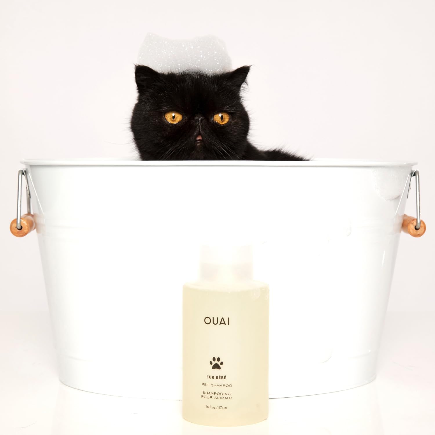 OUAI Fur Bébé Pet Shampoo - Thoughtful Birthday Gift for the Pet-Obsessed Friend, Mercer Street-Scented Spa Wash (16 Fl oz)