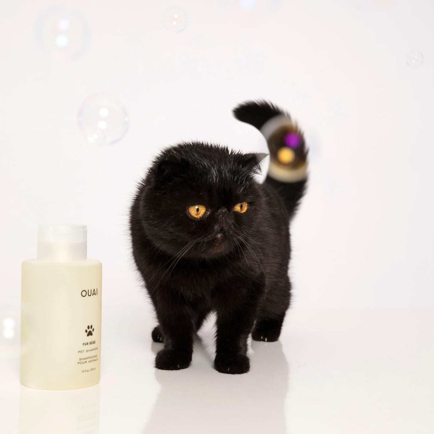 OUAI Fur Bébé Pet Shampoo - Thoughtful Birthday Gift for the Pet-Obsessed Friend, Mercer Street-Scented Spa Wash (16 Fl oz)