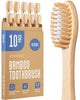 10 Count (Pack of 1)