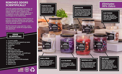 Premium Scented Candle Gift Set, Two Pack Soy Blend in 20+ Scents for Housewarming, Holiday, and Hostess Gifting