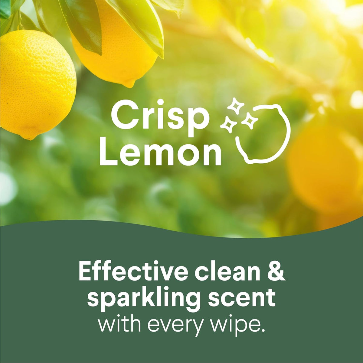 prevents odor-causing bacteria for up to 48 hours and bacterial growth for up to 24 hours on non-food contact surfaces