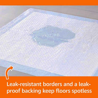 quick-dry top surface to limit paw tracking
