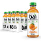 Costa Rica Clementine - 12 Pack