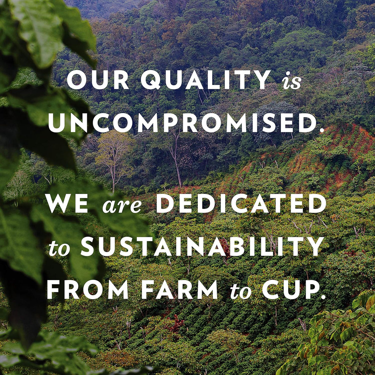 responsibly sourced beans with brand programs supporting military and local communities