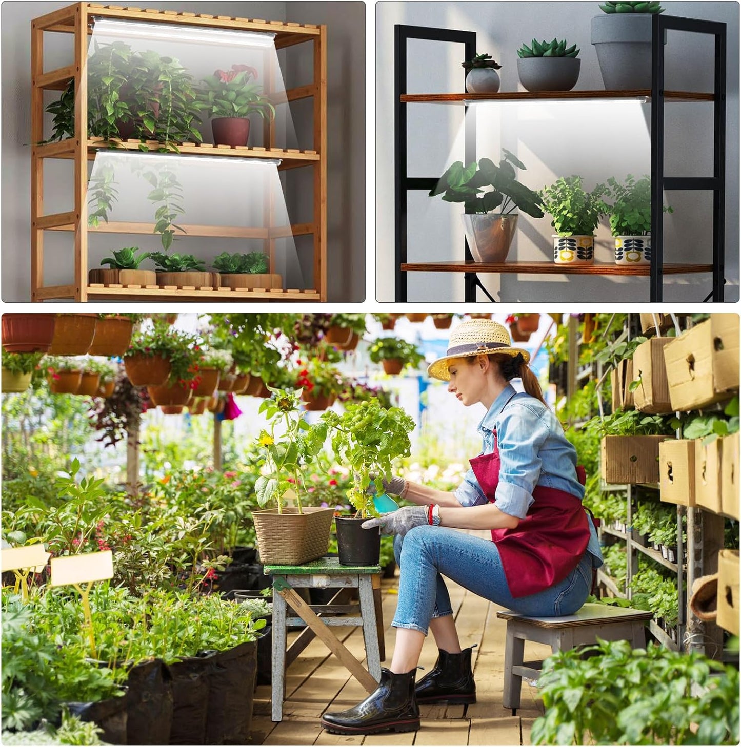 Roleadro 3-Bar Plant Grow Light Strip – Mindful Living Room Shelf with Calming Full Spectrum for Houseplants