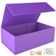Purple 9.5x6x3 Inch - 1 Count (Pack of 1)