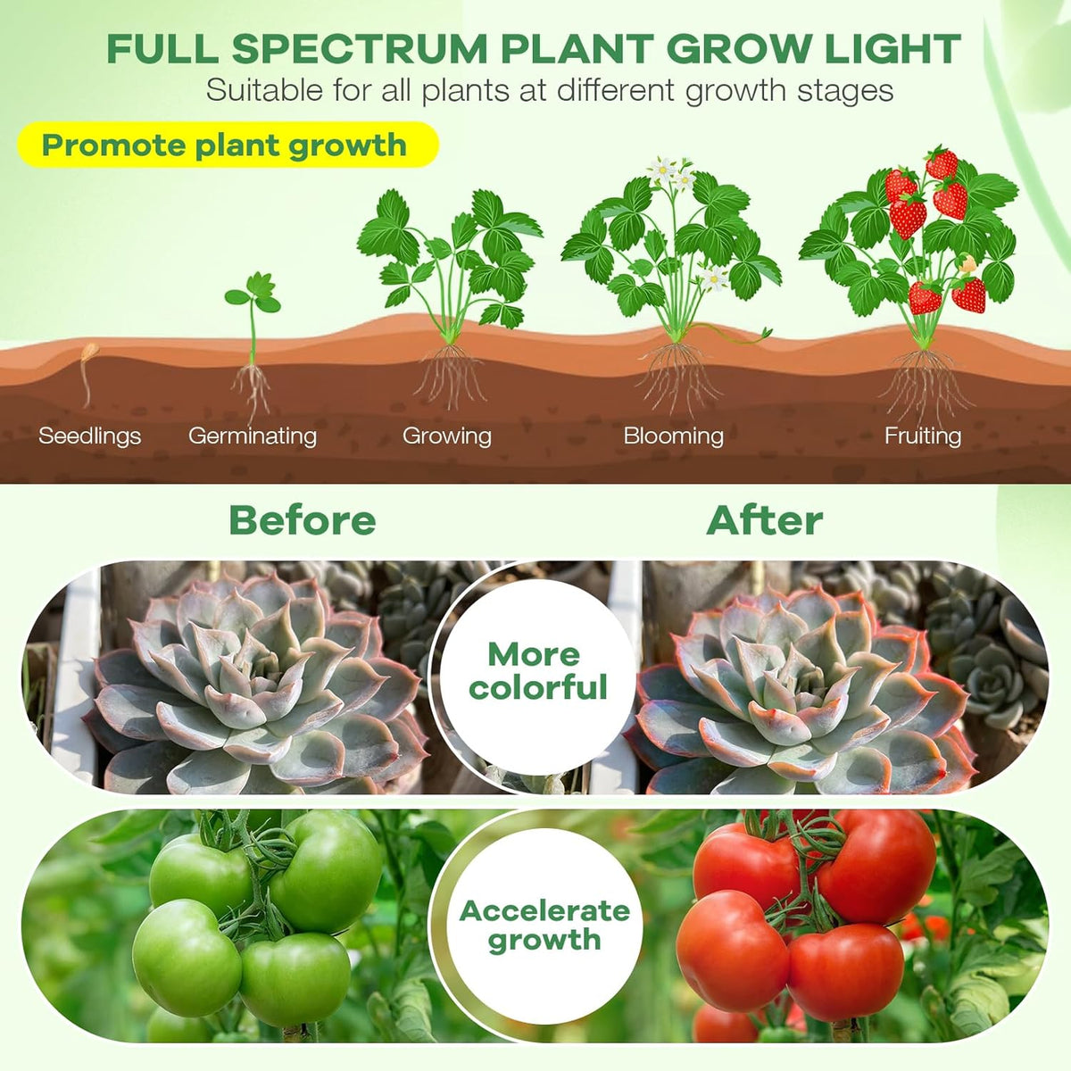 SANSI Clip-On LED Plant Lamp – Reliable Desk Greenery Lighting for Remote Work Setups