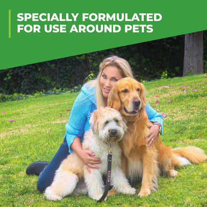 Simple Solution Outdoor Odor Eliminator for Dogs – Patio and Deck Refresh Spray, 32 oz Hose-End