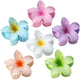 Hawaiian
