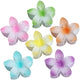 Petal