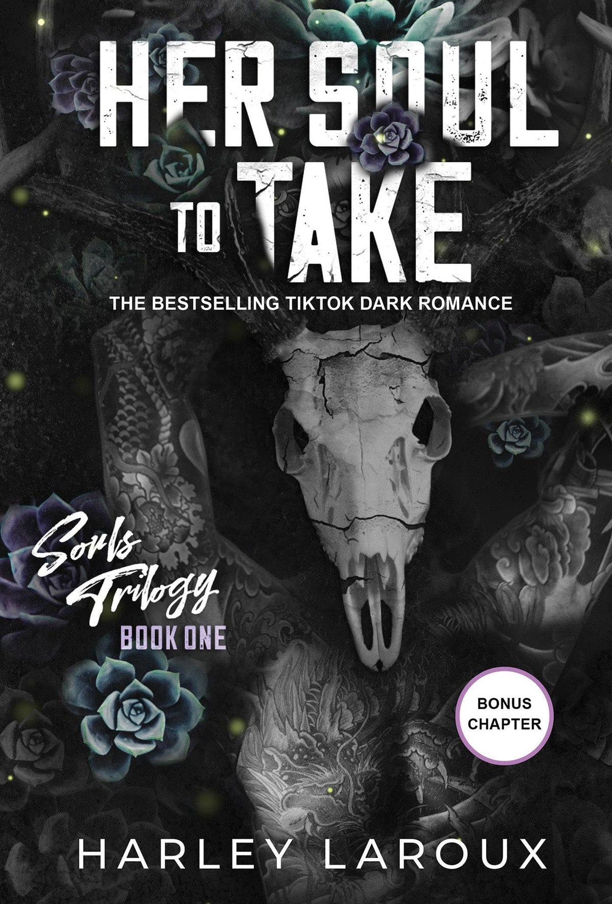 Souls Trilogy Her Soul to Take Immersive Paranormal Romance for Calming Reading Nook and Quiet Moments
