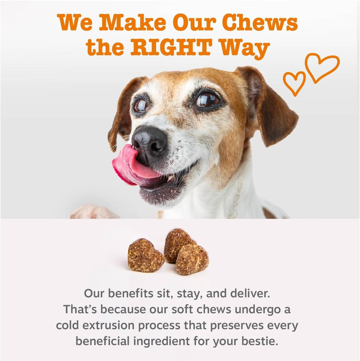 specialized skus: puppy bites, mini (small breed), healthy aging, advanced 8-in-1, and hemp formula