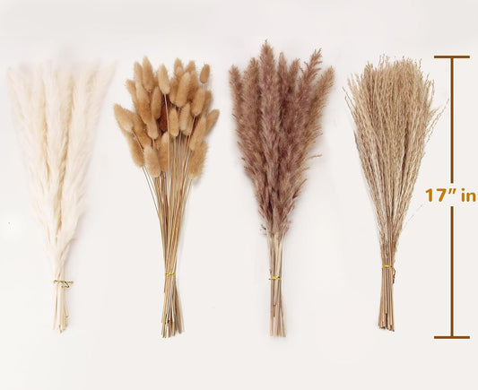 stem length of 14–17 inches, sized for small to medium tabletop vases