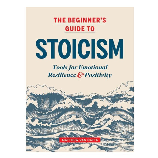 structured beginner's guide format with progressive chapter progression