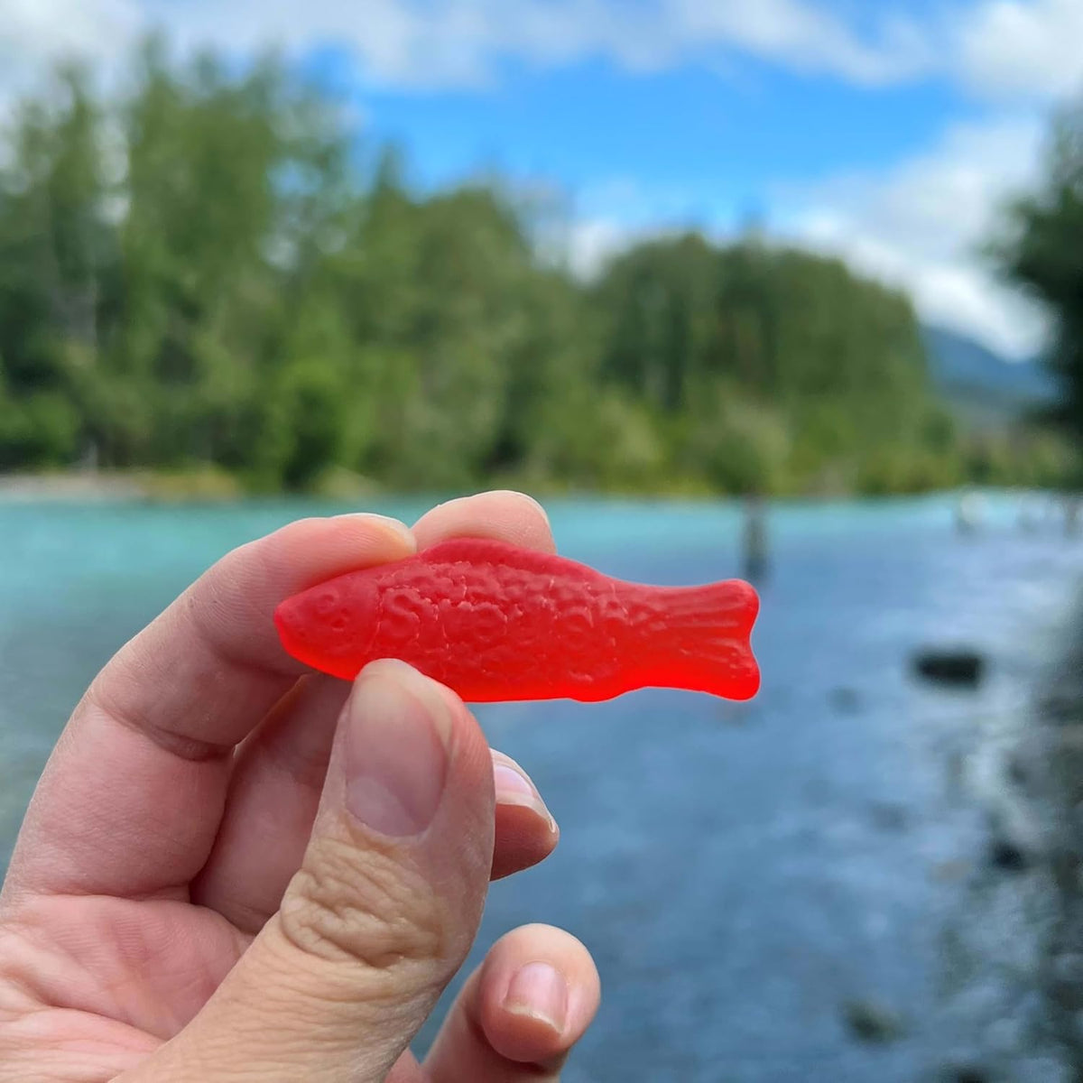 Swedish Fish Soft & Chewy Gummy Candy, Bulk Candy 5 lb for Conference Room Welcome Bowls and Client Meeting Candy Dishes