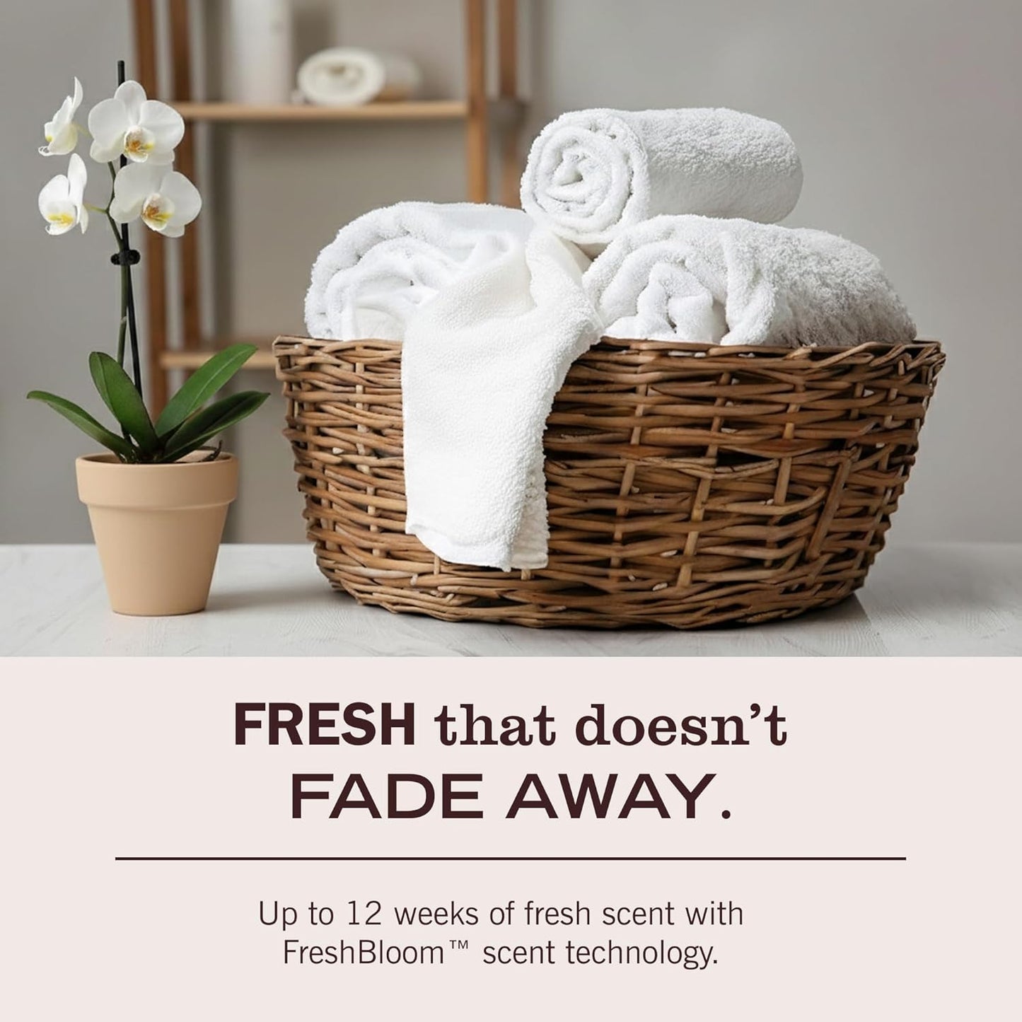 synergistic 8x fragrance boost when used with mrs. meyer's clean day laundry detergent