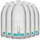 Eucalyptus Mint - 68 Fl Oz (Pack of 6)