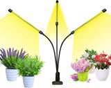 bseah Grow Light for Indoor Plants – Mindful Self-Care Ritual, Full Spectrum Plant Lamp for Bedroom Plant Shelf