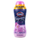Spring - 70 Ounce (Pack of 1)
