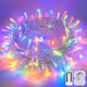 Multicolor - 1*100LED