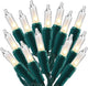 Clear Warm White - 1 Pack