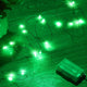 4 Pack - Green