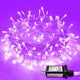 Purple - 200 LED