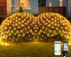 Warm White - 360 LED
