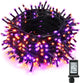 Orange & Purple - 500 LED