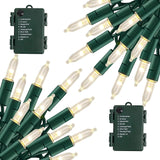 TW SHINE Waterproof Battery String Lights – IP44 Patio and Garden Party Lighting with 8 Modes