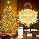 200LED - Warm White Connectable