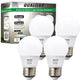Daylight - Small A15 4-Pack